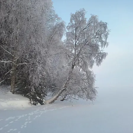 Villa Norvastar Rovaniemi